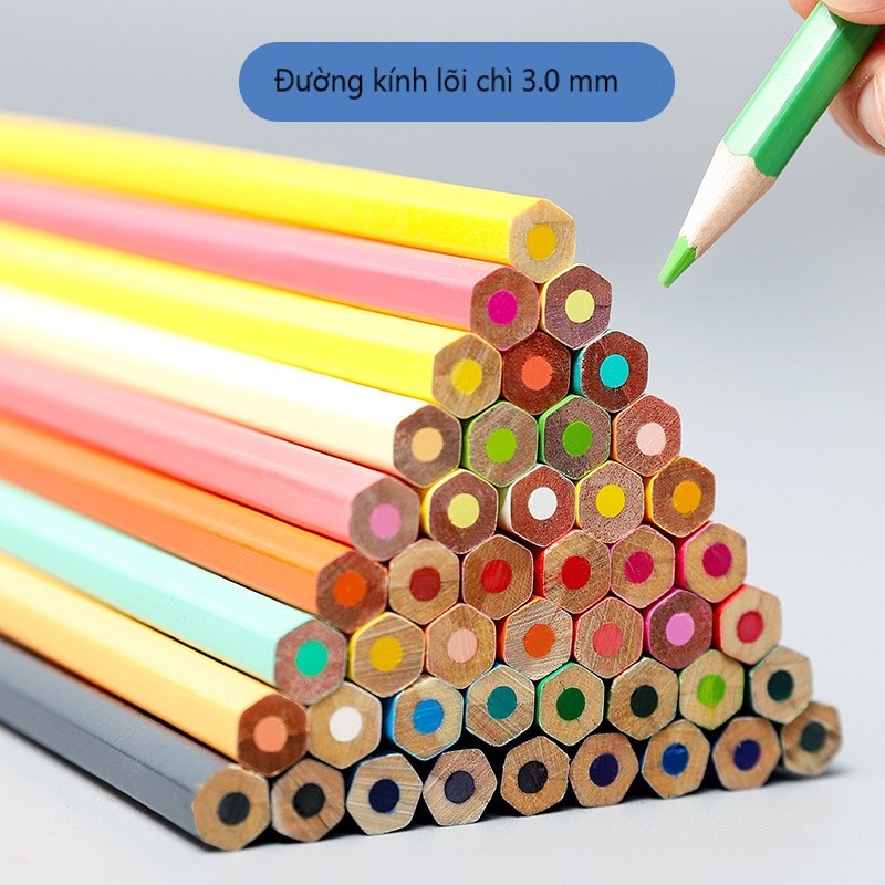 Bút Chì Màu Gốc Dầu SKYGLORY Vẽ Tranh Cao Cấp Hộp Thiếc 12/24/36/72/120 Màu