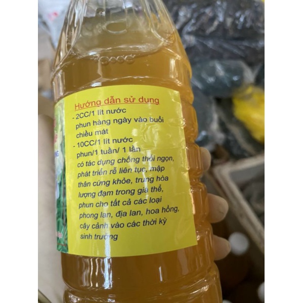 Dịch chuối _ Phân bón cao cấp điều hoa sịnh trưởng cho phong lan, hoa hồng, cây cảnh chai 1lit