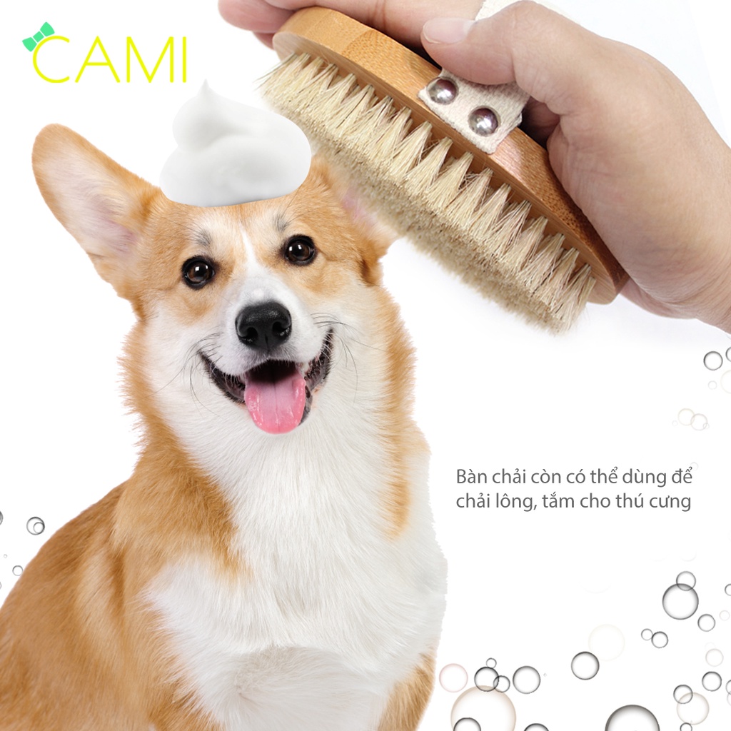 Bàn Chải Lông heo rừng tự nhiên, cán gỗ sồi chắc chắn, dùng khi tắm hoặc dùng cho thú cưng - Cami - CMPK240