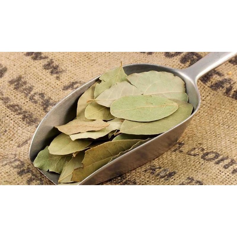 Lá nguyệt quế khô - Bay leaf