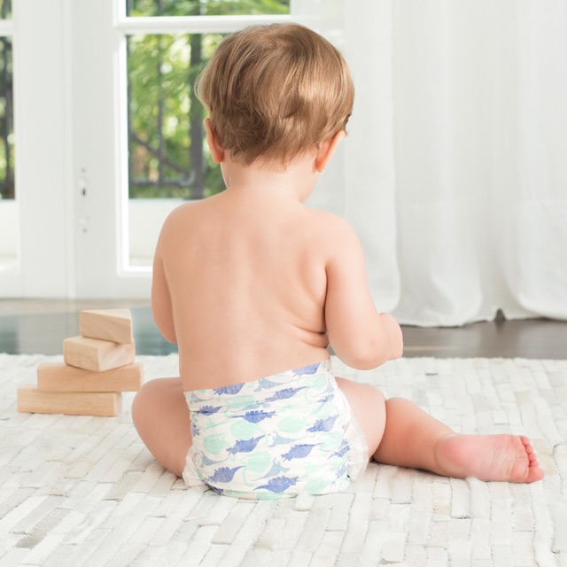 Bỉm Tã Caryn - Huggies - Bobby