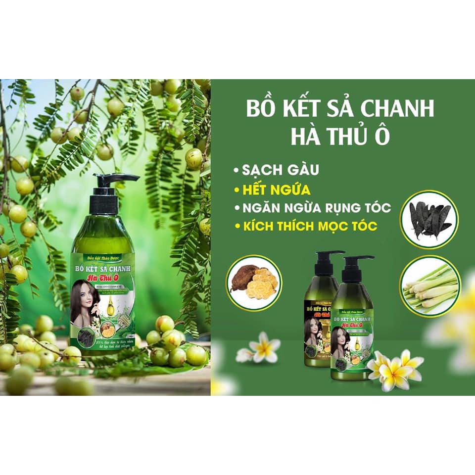 Combo 2 chai dầu gội đầu thảo dược bồ kết sả chanh Hà Thủ Ô - Trị gàu, nấm da đầu, nứa, trị rụng tóc, kích thích mọc tóc