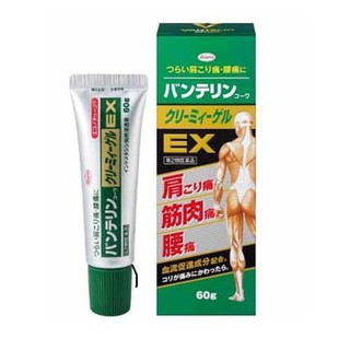 Gel bôi giảm đau nhức xương KOWA Vantelin - NB