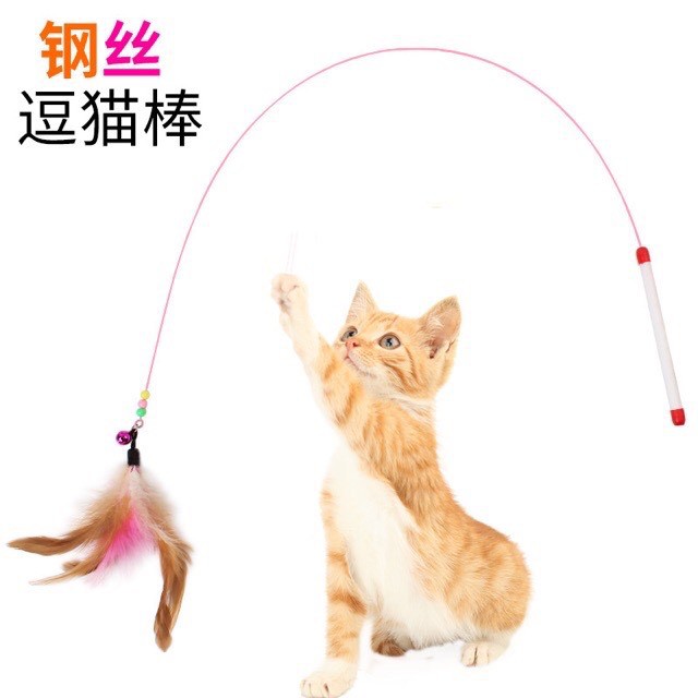 Cần câu dây thép cho mèo