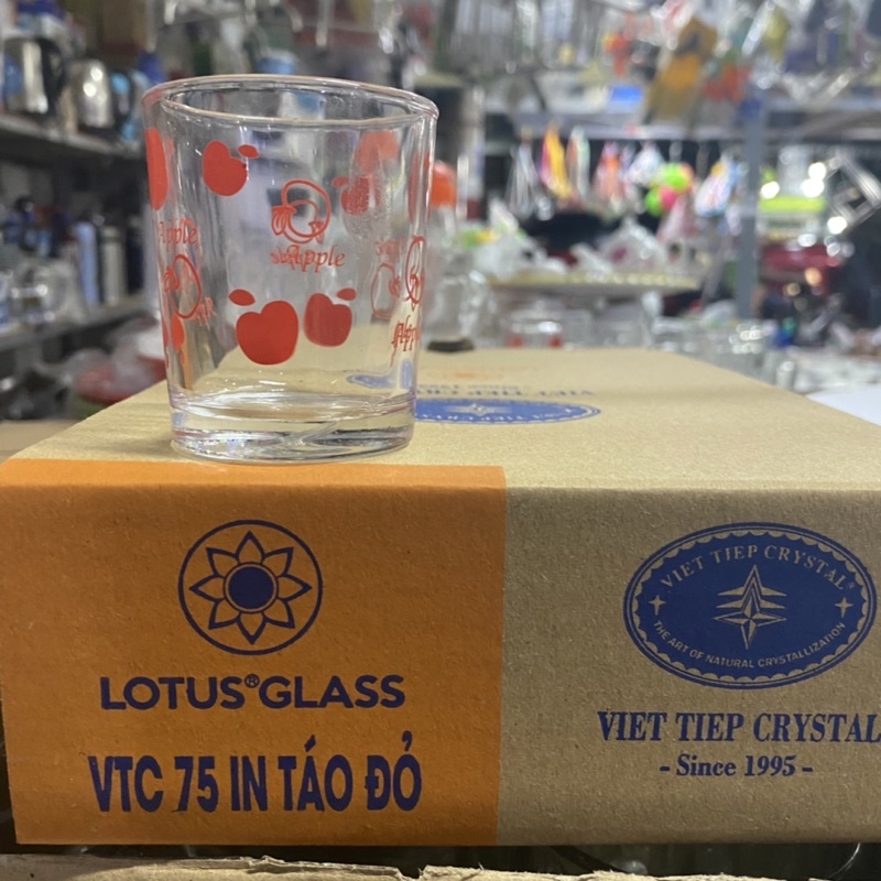Hộp 12 Ly Việt Tiệp VTC 75 - 70ml in táo đỏ, dùng  uống trà nóng trong suốt cao cấp, an toàn