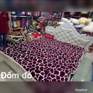 Chăn lông cừu việt nam