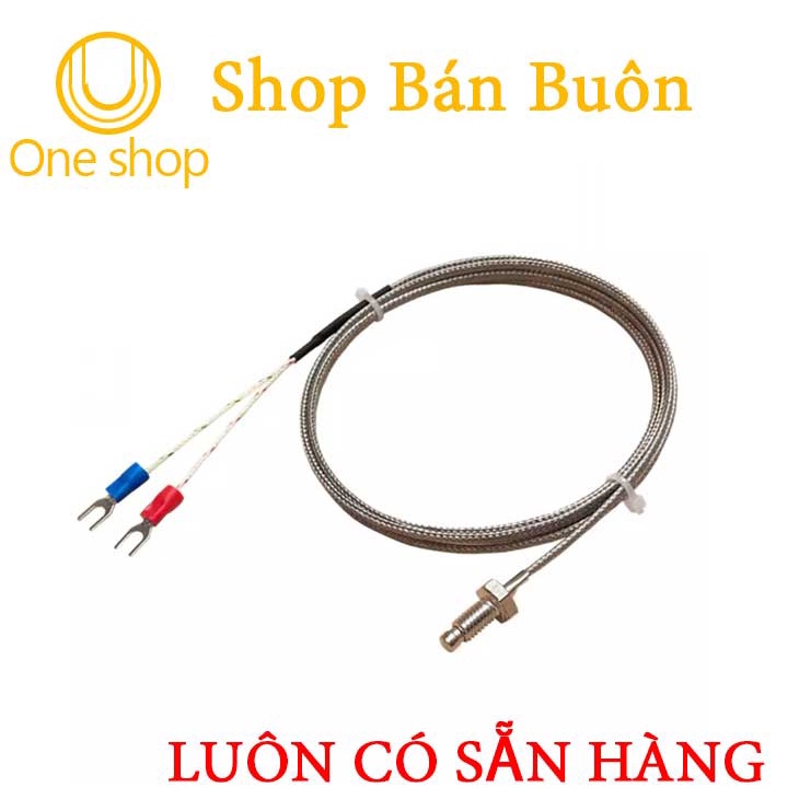 Đầu Dò Nhiệt Độ WRX-31 M6