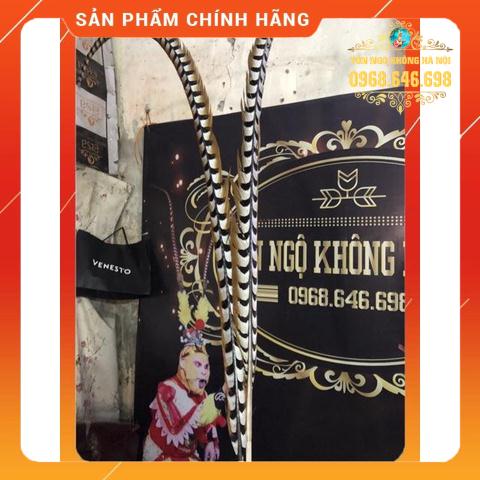 Lông Trĩ Tôn Ngộ Không 160cm