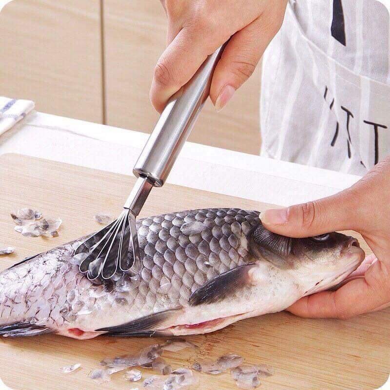 [Rẻ Vô Địch] Dụng Cụ Đánh Vảy Cá, Nạo Dừa Inox Siêu Tiện Ích Nhà Bếp - MS6309