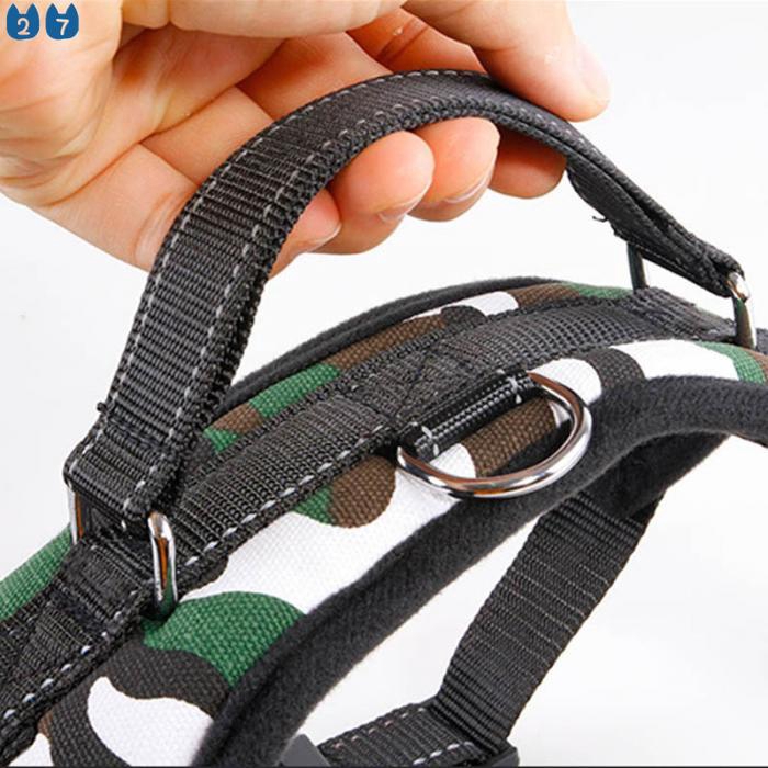 Dây Dắt Thú Cưng Đi Dạo Bằng Da Dạng Lưới Thoáng Khí 27Pets} S / M / L / XL