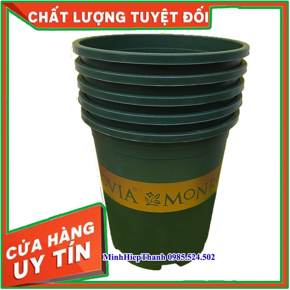 Combo 5 chậu monrovia 5gallon (5gal) chậu cỡ số 5