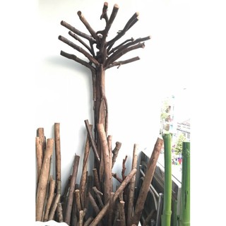 BỘ SƯỜN THÂN CÂY GỖ ĐÃ GHÉP DÙNG ĐỂ LÀM CÂY MAI , ĐÀO, CÂY KIỂNG