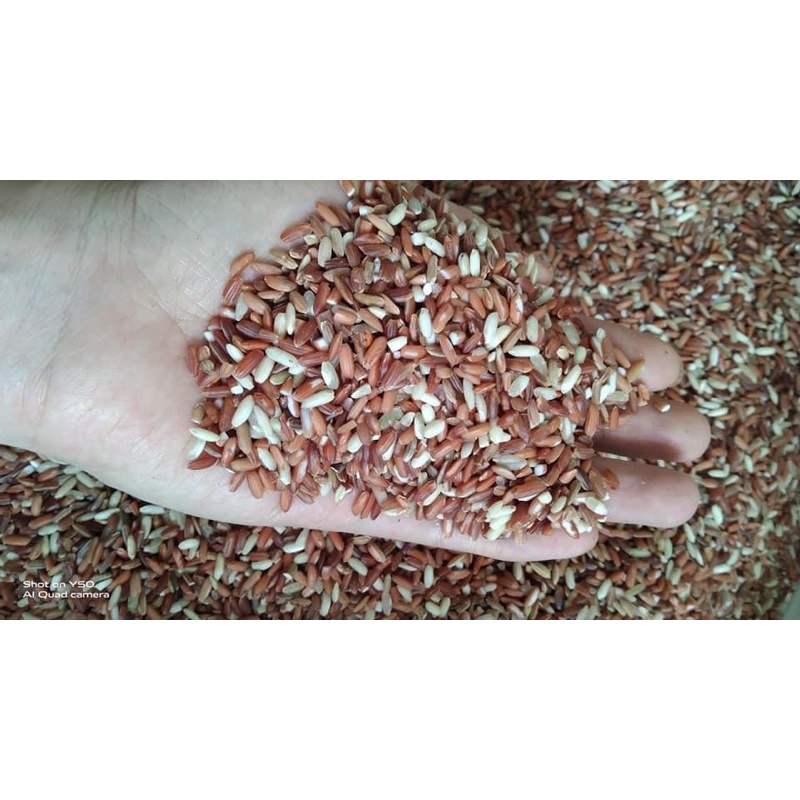 Gạo lứt dẻo Điện Biên