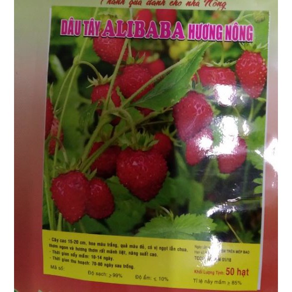 HẠT GIỐNG DÂU TÂY ALIBABA - GÓI 50 HẠT