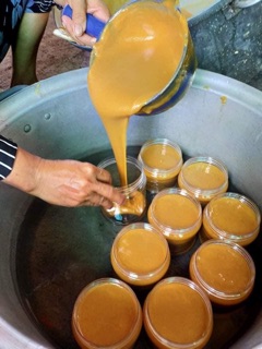 Đường thốt nốt