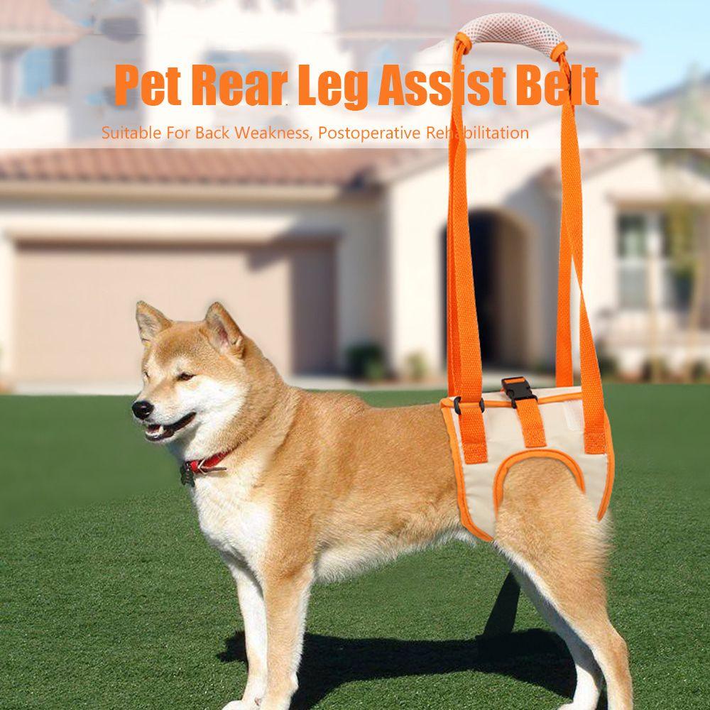 Đai Đeo Chân Hỗ Trợ Nâng Thú Cưng DAPHS