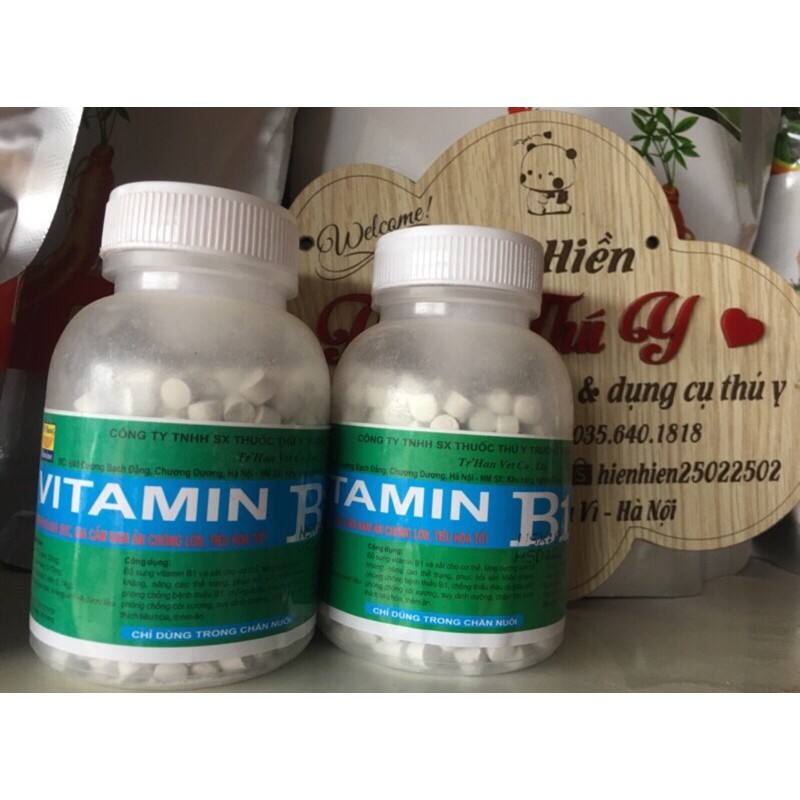 Vitamin B1 cho vật nuôi,ham ăn, kích thích tiêu hóa (thuốc thú y) chó mèo