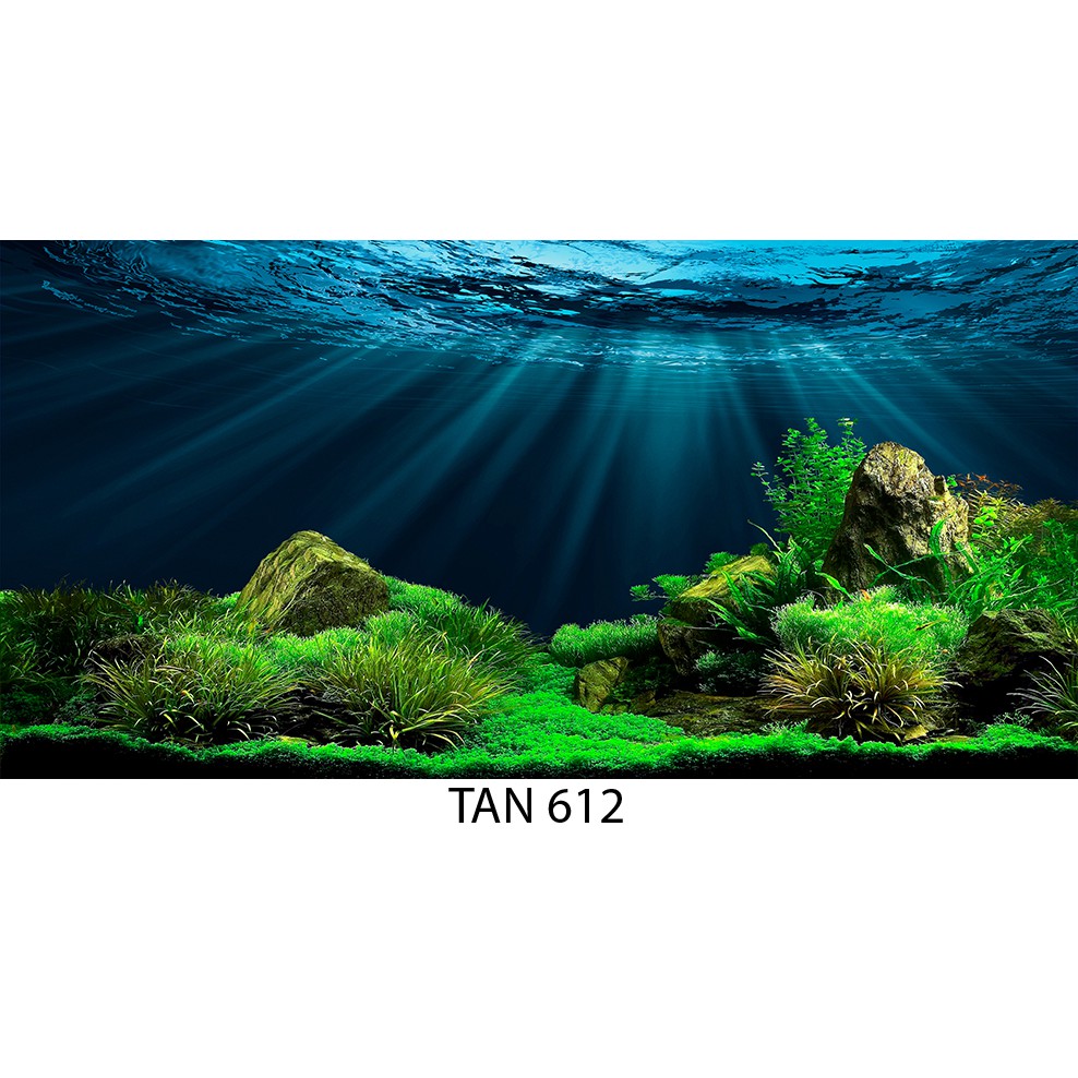 Tranh 3D dán bể cá mini - 50x30cm, 40x25cm...