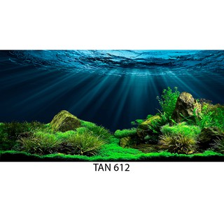 Tranh 3D dán bể cá mini 50x30cm 40x25cm có keo sẵn mặt trước chất liệu backlit film bóng đẹp bền màu