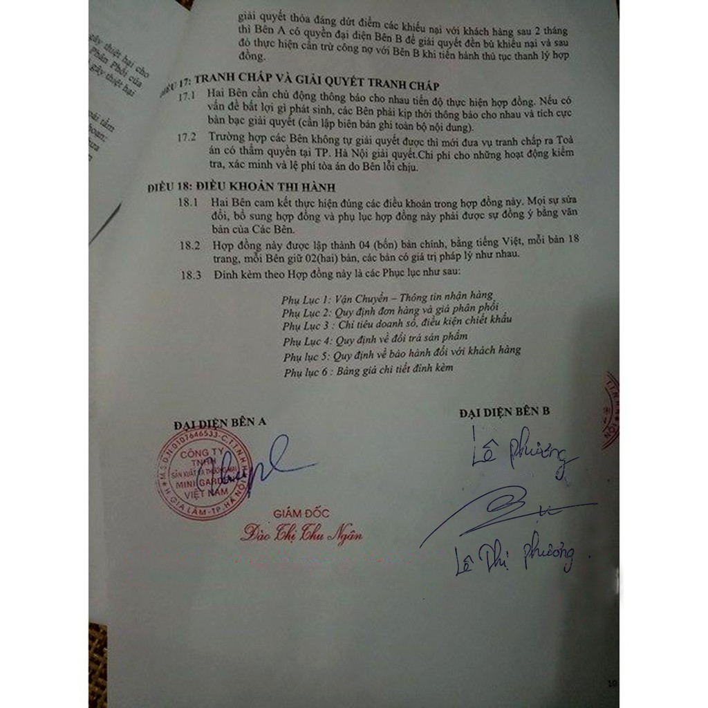 Son roses chính hãng_son lì bền đẹp- Đống Đa Hà Nội