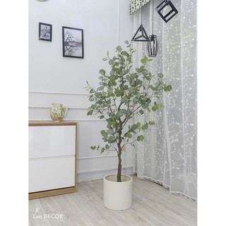 Cây bạch đàn lá tròn trang trí Lan Decor (Các size 85cm, 130cm, 165cm)