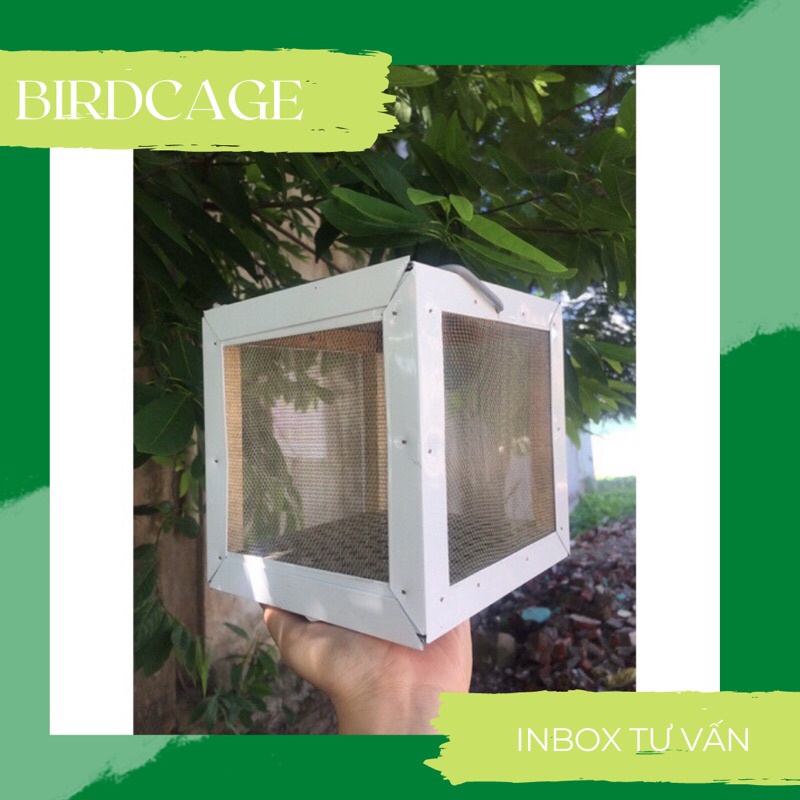 HỘP DỰNG DẾ,CHÂU CHẤU CÓ 2 SIZE TO VÀ NHỎ