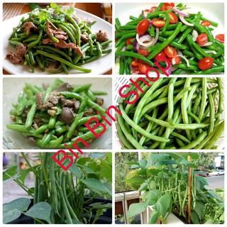 HẠT GIỐNG ĐẬU COVE LÙN (50GRAM)