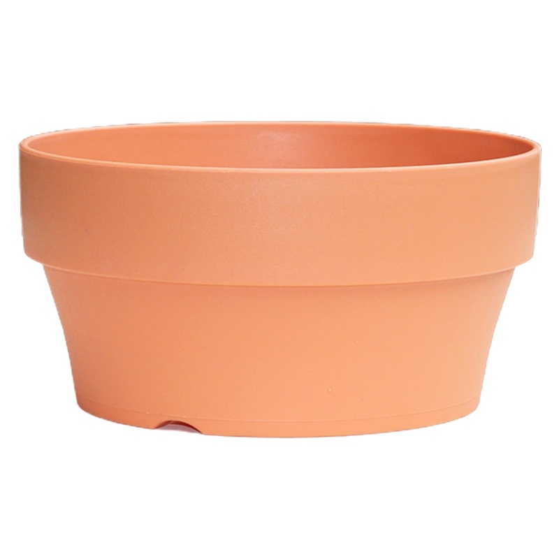 Chậu Trồng Cây Xương Rồng Bằng Nhựa
