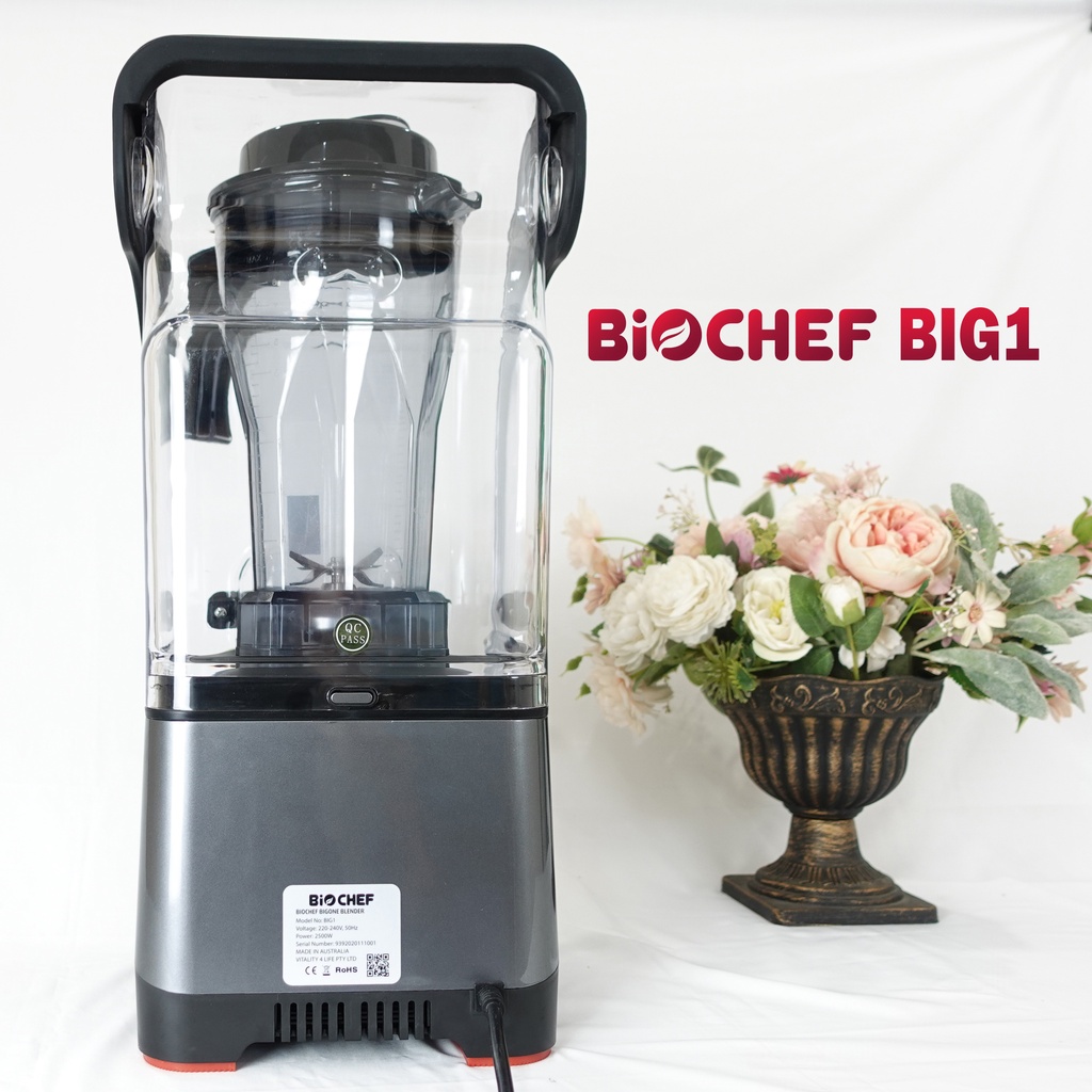 Máy xay sinh tố công nghiệp Biochef BIG 1