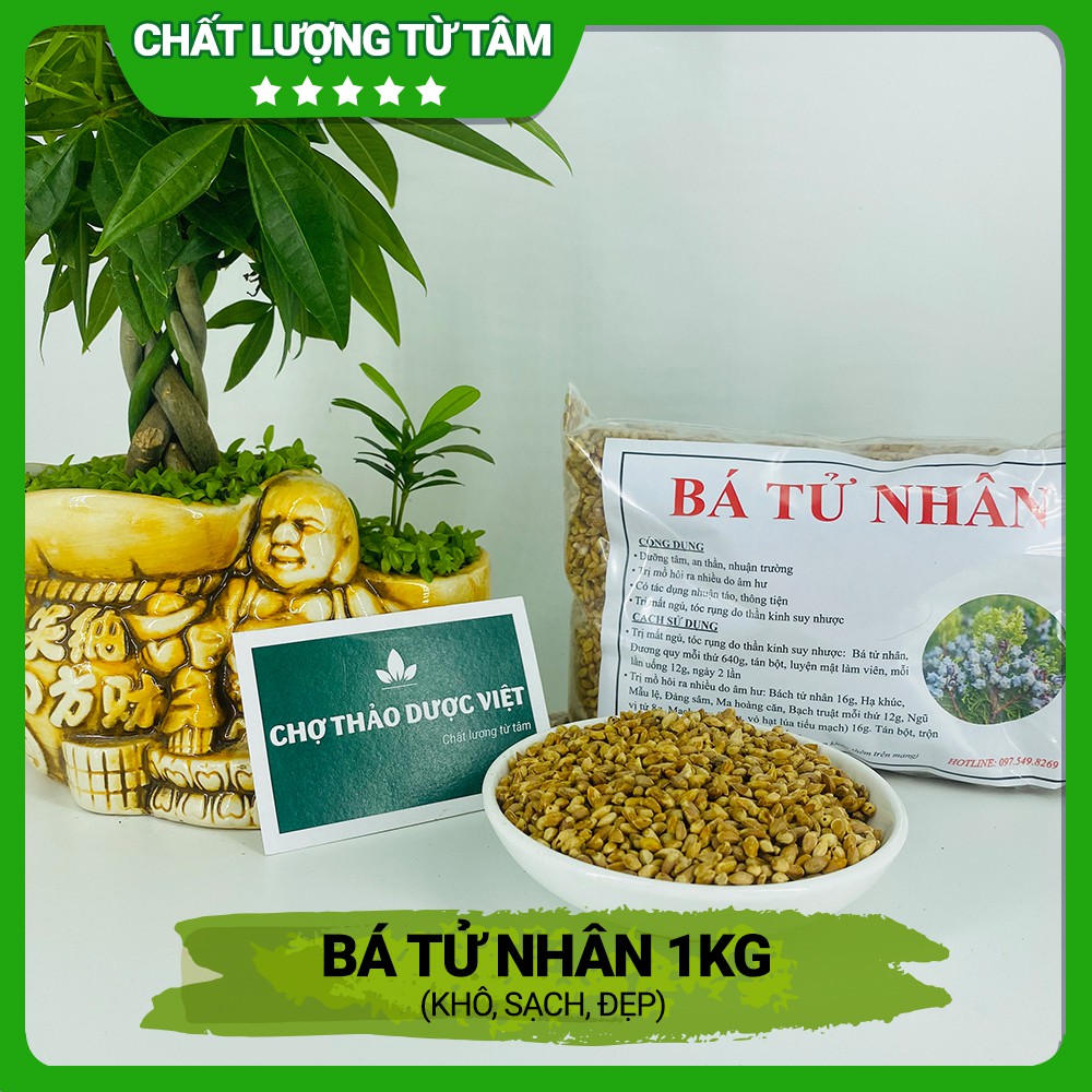 1kg Bá Tử Nhân (Khô, Sạch, Đẹp) - Trắc Bách Diệp