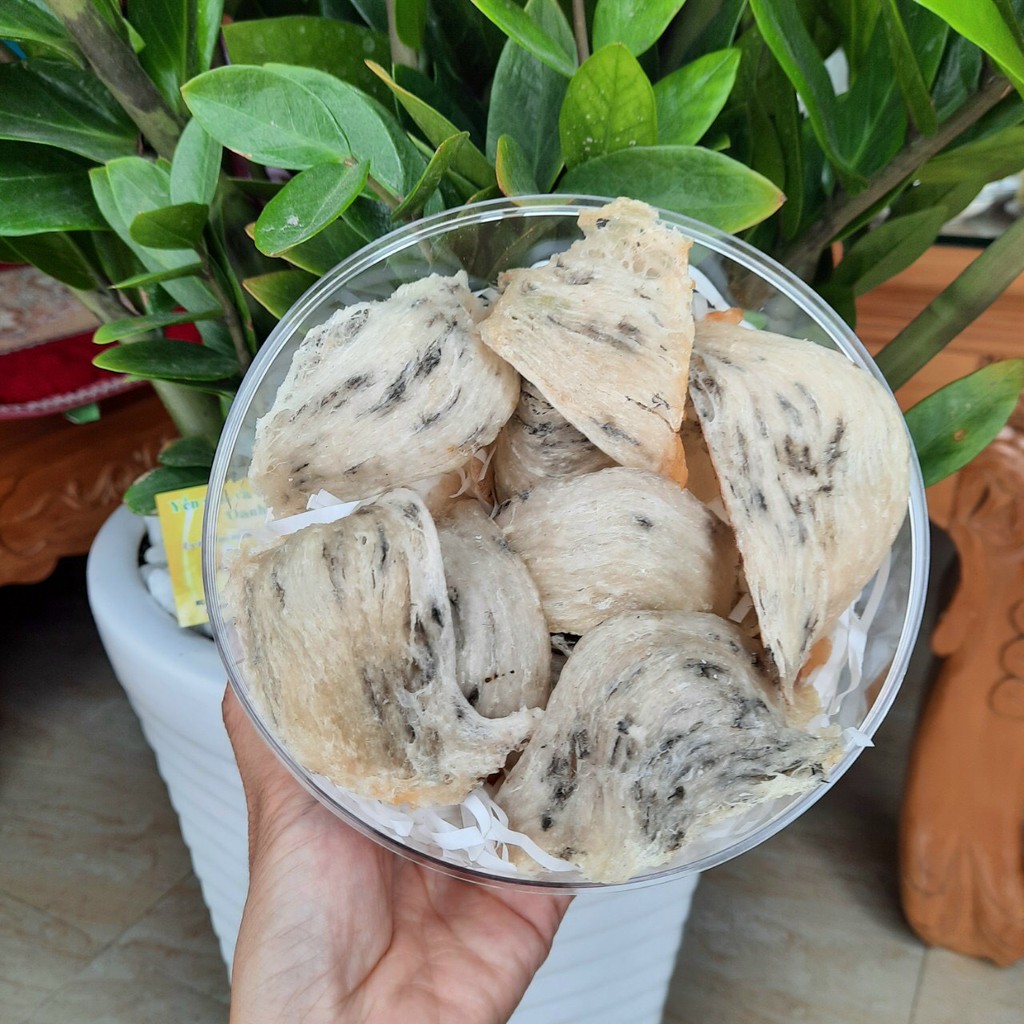 [50gr] Tổ Yến Thô loại VIP ít lông Tặng kèm Táo đỏ, đường phèn, hạt chia - Yến Sào Thô loại VIP.