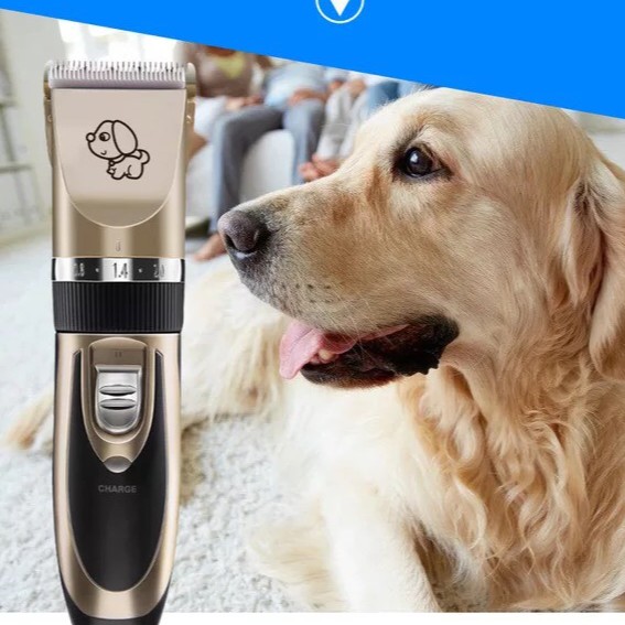 Tông Đơ Cắt Lông Chó Mèo Full Phụ Kiện, Tông Đơ Tỉa Lông Thú Cưng Nhập Khẩu Cao Cấp giahuypetshop