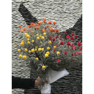 Hoa Khô cắm bình ngày tết