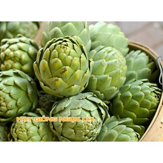 Hạt Giống Atiso Xanh (Hạt Giống Ngọc Chi) - 5 Hạt