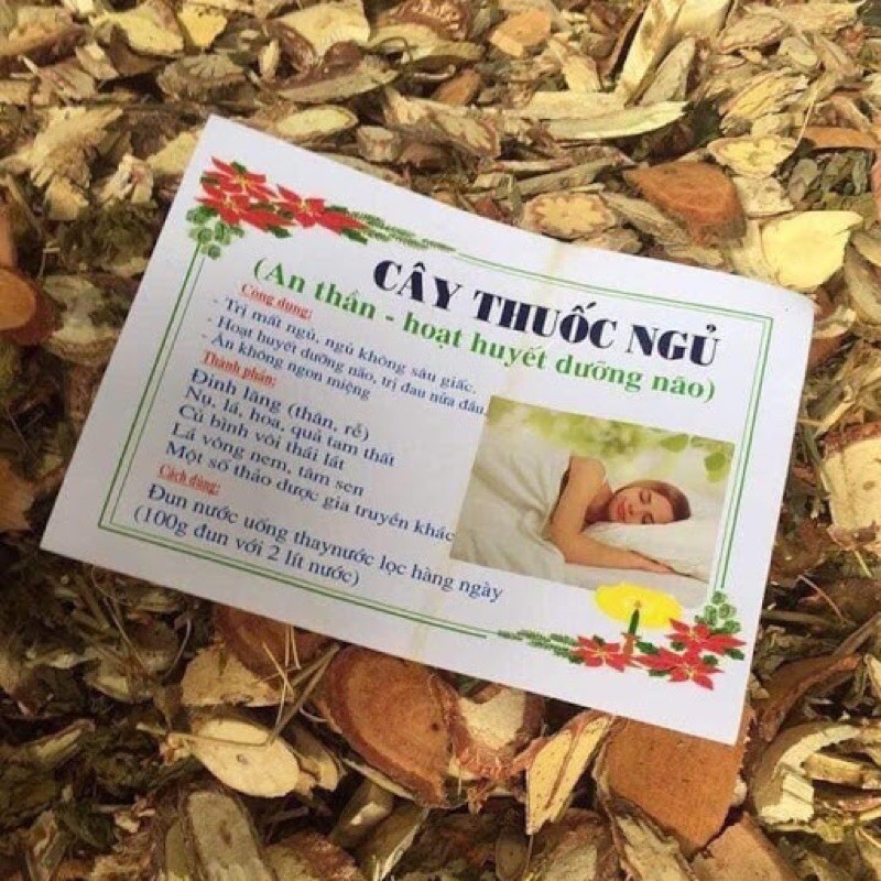CÂY THUỐC NGỦ(Dược liệu quý)