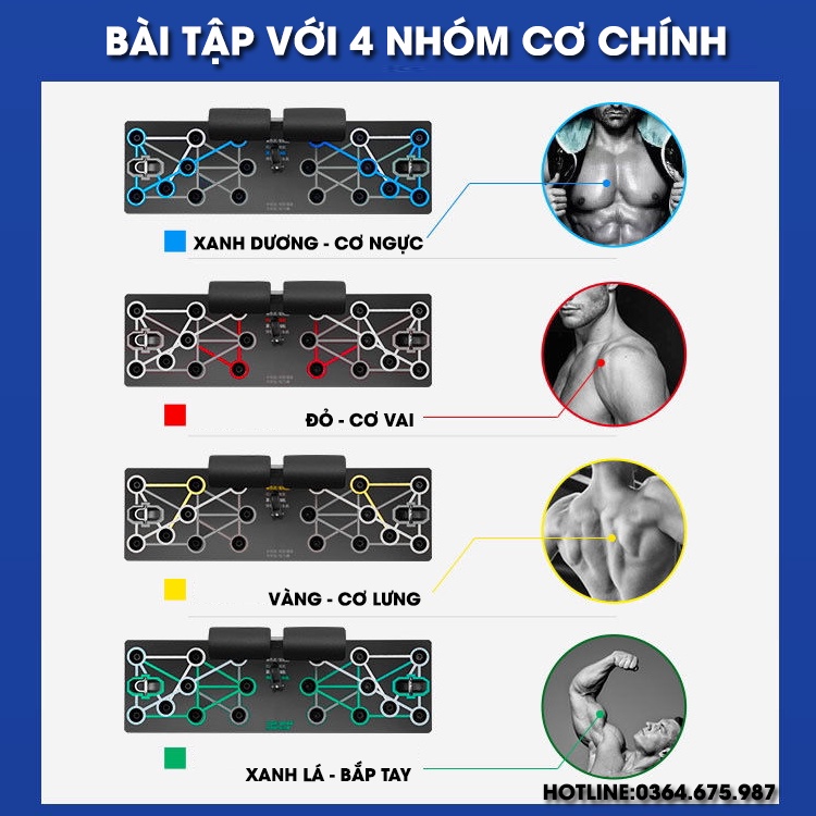 Bảng Tập Hít Đất Đa Năng PARALLETTERS, Dụng Cụ Hít Đất Tại Nhà 12 Trong 1 Siêu Tiện Lợi Tặng Kèm Con Lăn Tập Bụng