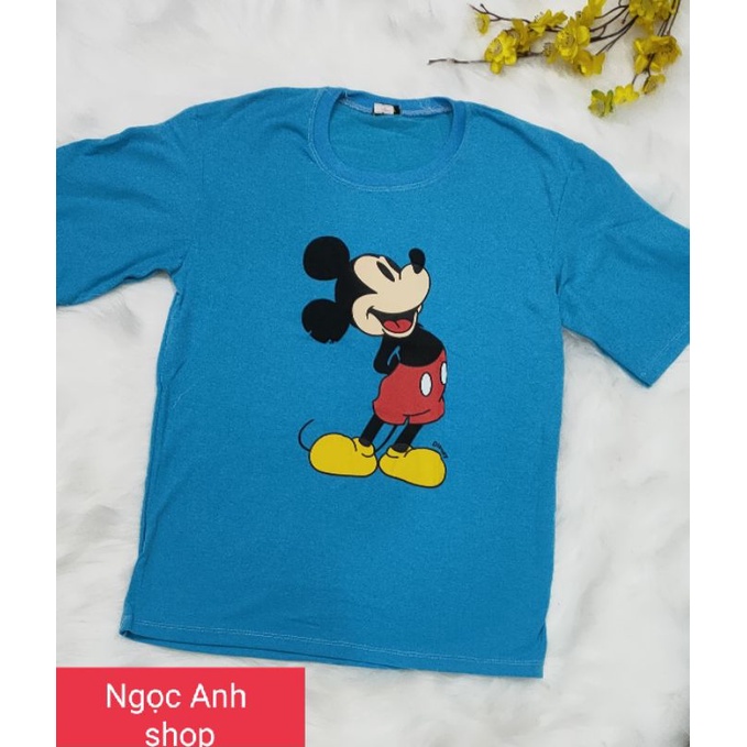 Áo phông nam / nữ