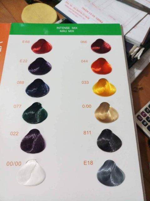 Thuốc nhuộm tóc EverFlor kèm oxi trợ nhuộm và găng tay | BigBuy360 - bigbuy360.vn