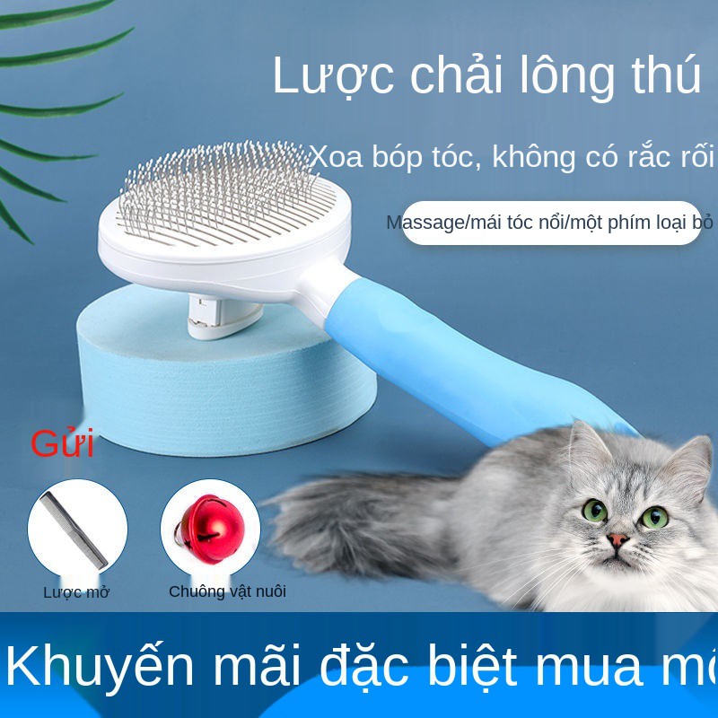 ☸lược cho mèo cưng, chó, dụng cụ làm sạch lông mèo, Teddy, Bichon go nổi kim tẩy