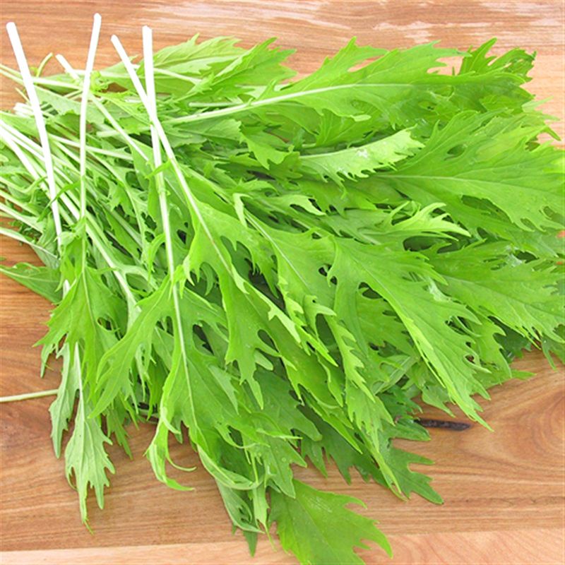 Hạt Giống Cải Ngọt Đuôi Phụng