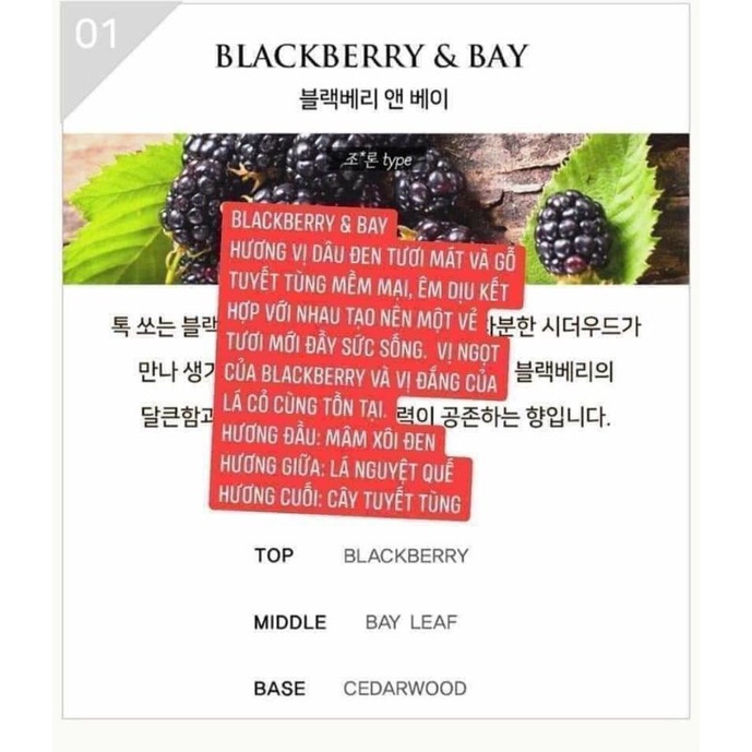 Nước hoa USA tầm trung