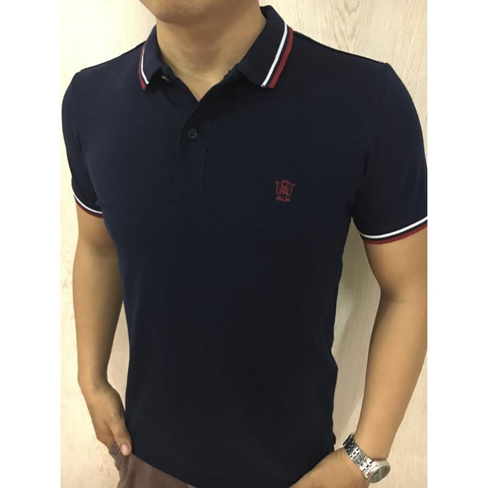 Áo Thun Nam cổ bẻ Masimo Trơn TÍM THAN xuất khẩu, áo phông có cổ loại đẹp ⚡