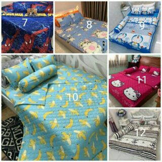 Set ga gối poly nhập mẫu mới
