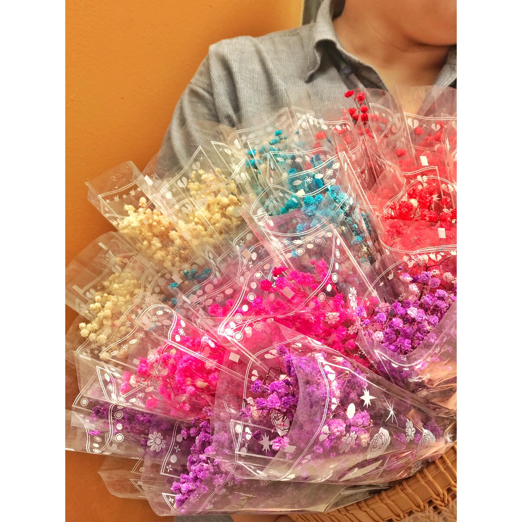 ♥️FREESHIP♥️Gypsophila🌸Hoa Baby Khô🌸 Trang trí nhà cửa, events siêu xinh