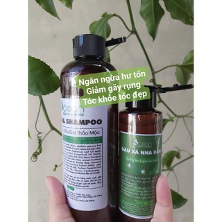 Dầu gội Thảo mộc Sóc Con
