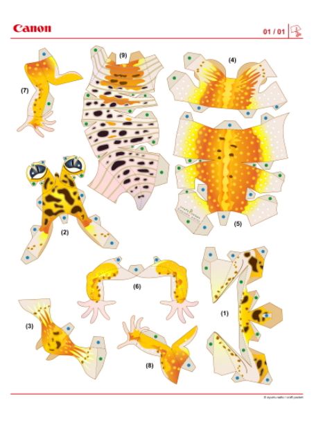 Mô hình giấy Động Vật thằn lằn báo đốm