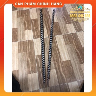 Lông chim trĩ tự nhiên 1 Cặp