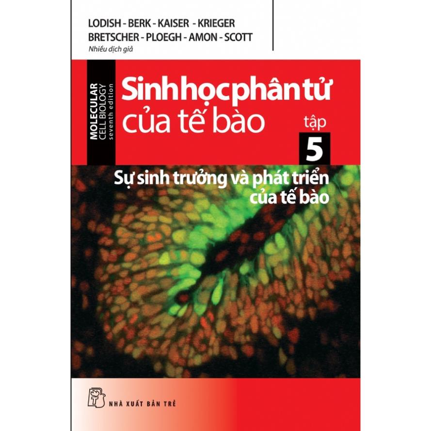 Sách - Sinh Học Phân Tử Của Tế Bào 05-Sự Sinh Trưởng Và Phát Triển Của Tế Bào - NXB Trẻ