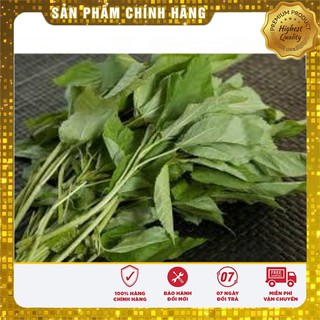 Hạt Giống Rau Đay Xanh(10gr)