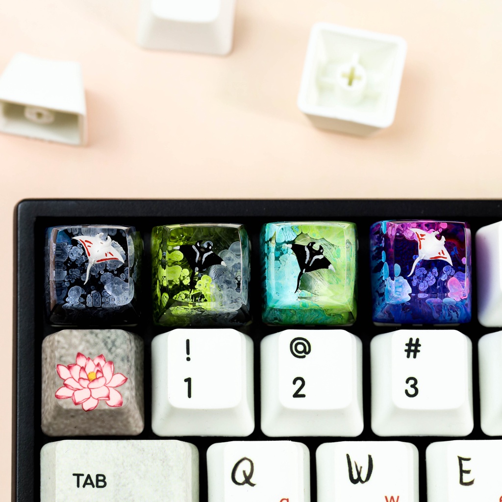 Nút bàn phím cơ cá đuối, keycap lẻ giá rẻ SA profile